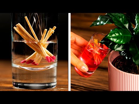 Cool plant hacks and tricks for any situation!
