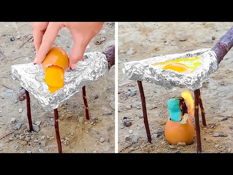 Best Surviving tips for any Camp and any Trip