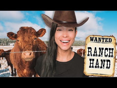 I Worked as a Rancher in Montana for 24 Hours