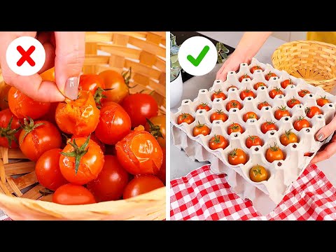 Eco-friendly Food preserving ideas to make your Product's life longer