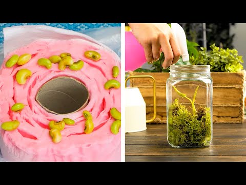 Quick Hacks To Grow Your Plants Healthier