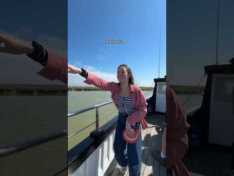 seals near London?! 😱🦭 #londonlife #londontravel