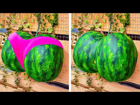 Simple Plant hacks for Unbelievably blossom Garden and Extremely Harvest