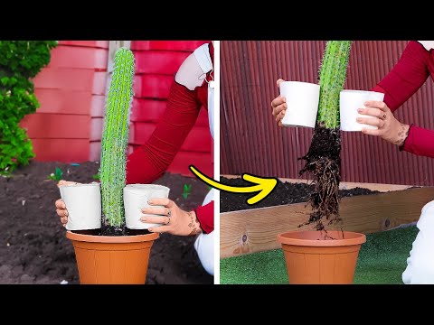 Grow your Garden green and Blossom with these cool ideas