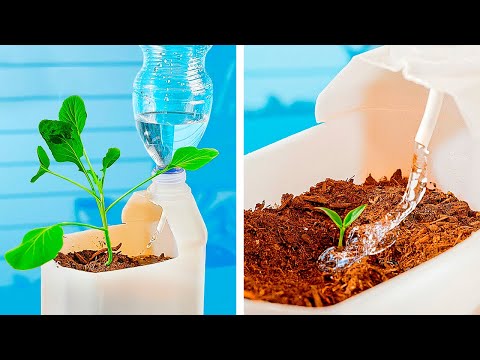 Smart Gardening Hacks For Beginners And Pros 👩‍🌾
