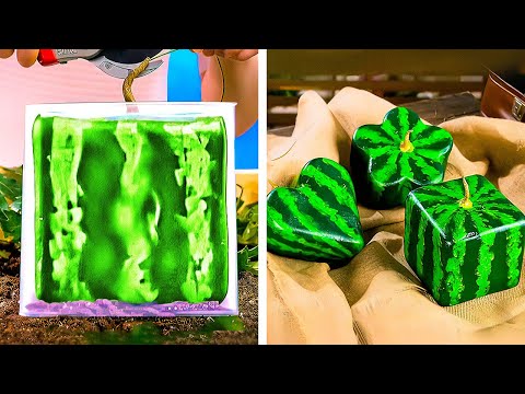 Amazing Plant hacks and Organization tricks for your easy Gardening