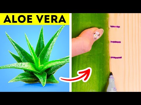 Repair Hacks And Tips for Perfect Results