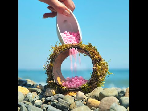 Converting a coconut into tiny fish house 🐟