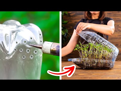 Growing and Caring Plants at Home and Backyard 🌱
