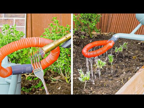 Useful Garden ideas for your pleasant time in the Backyard