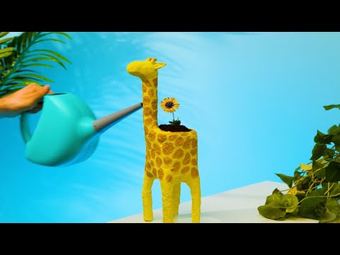 Oh No! Mr. Cat, Be Careful! 🙀 #shorts