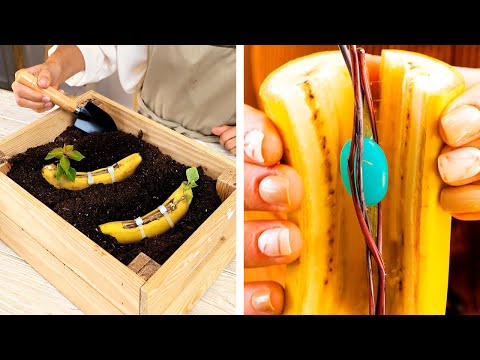 Smart Plant Growing Tips and Hacks