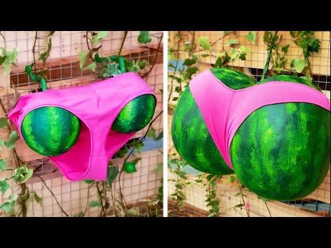 Simple Garden ideas to make your Plants smiling