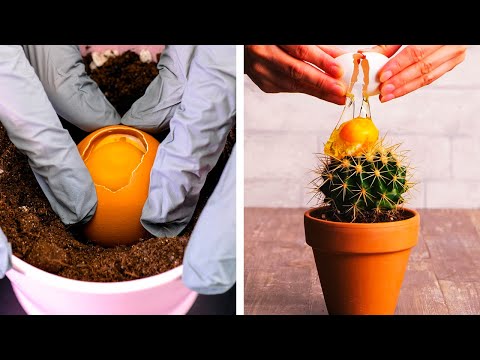 Clever plant growing hacks & care tips to keep your garden lush!
