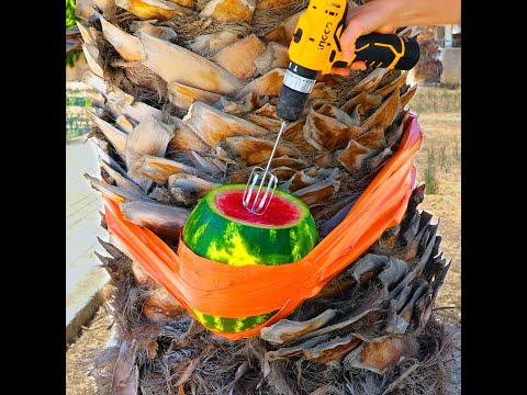 A delicious watermelon ice latte to cool you off in the summer 🍉 #shorts