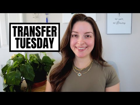 Transfer Tuesday | SEP IRA!