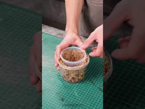 Cool Eco Goods Made from Recycled Wood Waste ♻️🌳 #shorts