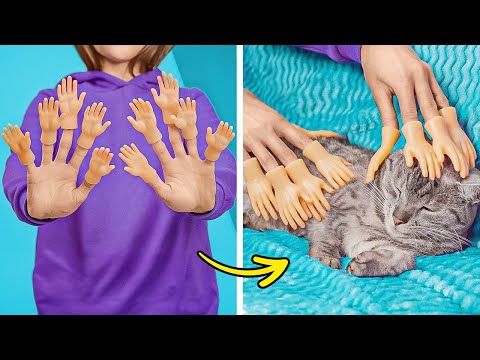 Have pets at home? You NEED to watch this 🤯 #shorts