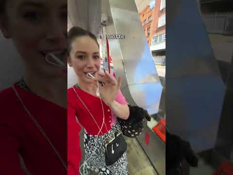 I spoke to a stranger today 👀 #storytime #doglover