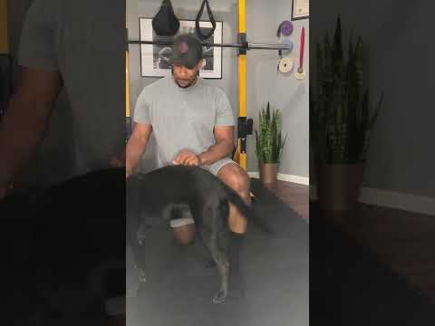 Bloopers with Harlan! – Day 5 of the Challenge