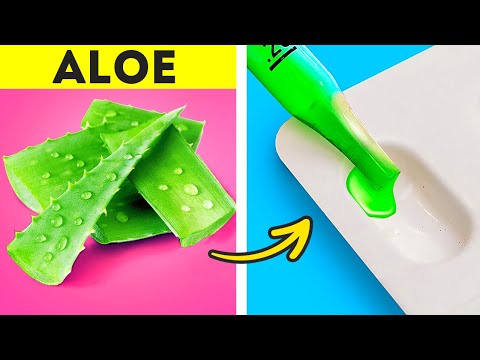 Aloe Vera Hacks for Self-Care and Beauty 🌸💆‍♀️