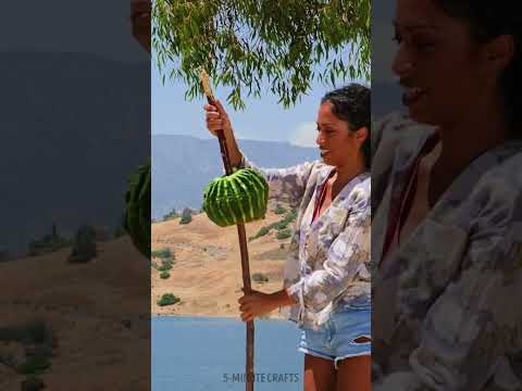 She Uses Cactus to Prepare a Delicious Outdoor Feast! 🌵 #shorts