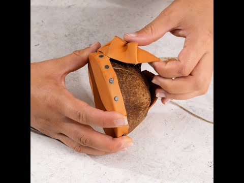 This is for the ASMR fans! Musical instrument made out of a coconut! #shorts