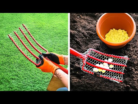 Boost your Garden with these unexpected tips