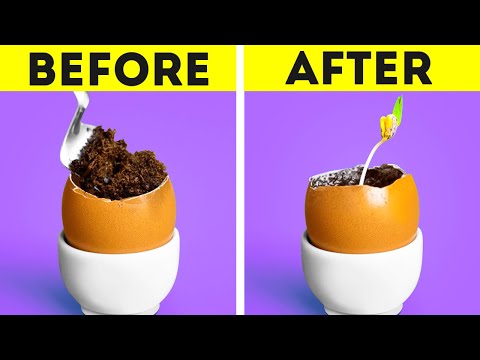 Clever Hacks For Gardening And Growing Plants