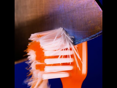 What Does The Macro World Look Like?🔬 #shorts