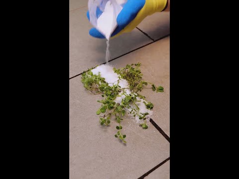 Discover These Clever New Ways to Use Salt! 🧂 #shorts