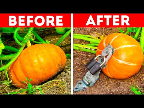 Simple Hacks for Every Gardener!