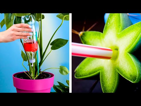 Plant Growing Tips For True Gardeners