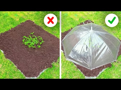 Exciting Garden creations for Indoor and Outdoor plants