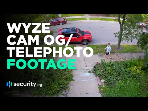 Wyze Cam OG and Wyze Cam OG Telephoto |  Sample Recordings