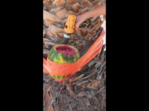 🍉 Refreshing Watermelon Ice Latte to Cool You Off This Summer ☀️ #shorts