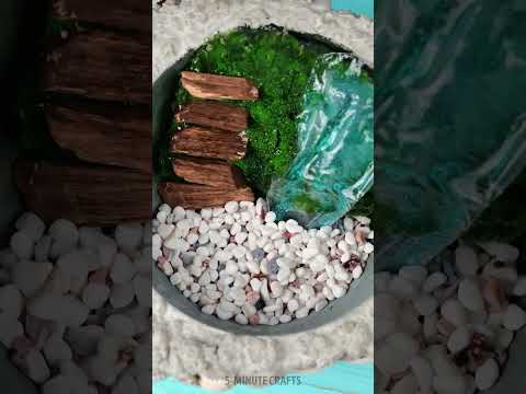 Mini Paradise #shorts