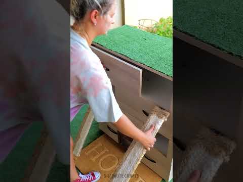 The old dresser is transformed into a kitty house 😻 #shorts