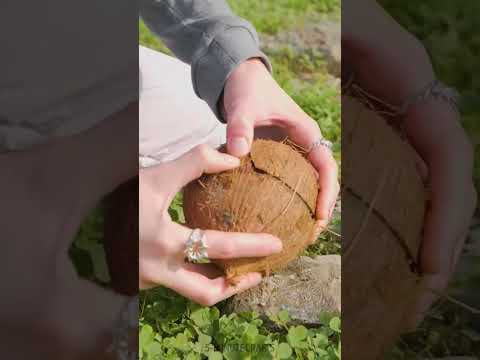 Valuable hacks that this girl used to survive on the island 🥥