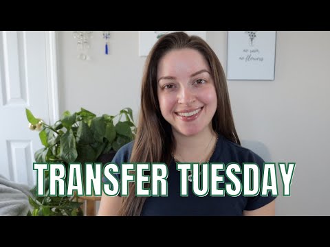 Transfer Tuesday | How I Donate and Invest + Being Real with Y'all