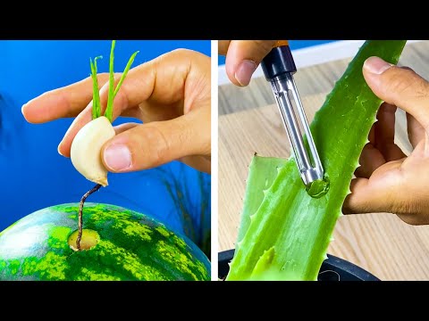 Garden hacks for Indoor and Outdoor plants