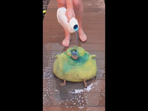 Saved this toy from the streets! Can you guess its color after a good wash? 💦