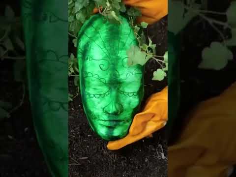 I never knew I could do this (but it's worth it)