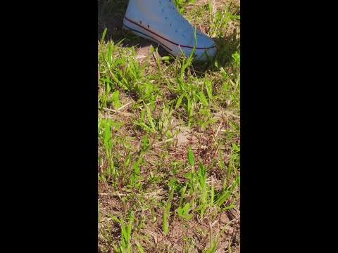 How to Transform Your Backyard! Build a Swimming Pool in One Day! 🏊‍♂️✨