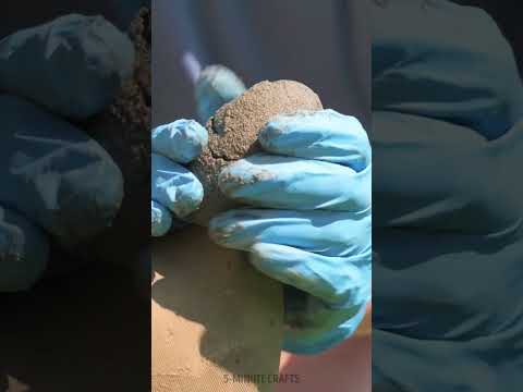 Garden cement chickens 🐓