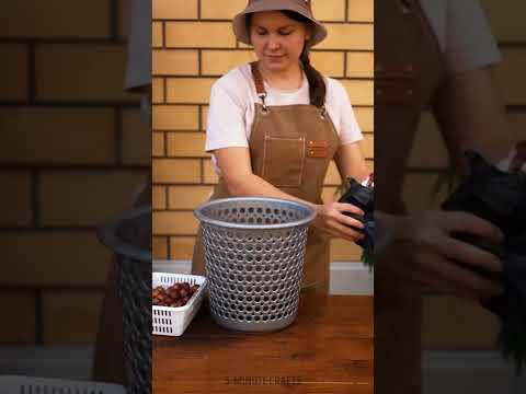 Ingenious Ways to Grow Plants Anywhere 🍄‍🟫 🍄‍🟫 🍄‍🟫 #shorts