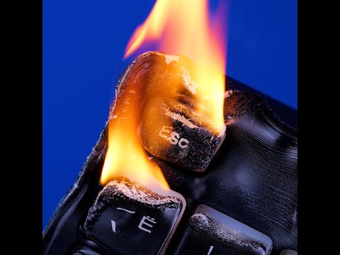 A New Level of Macro Filming! 📹