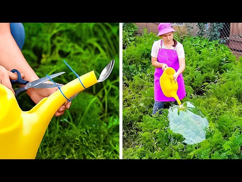Improve your Home and Garden with thee hacks!