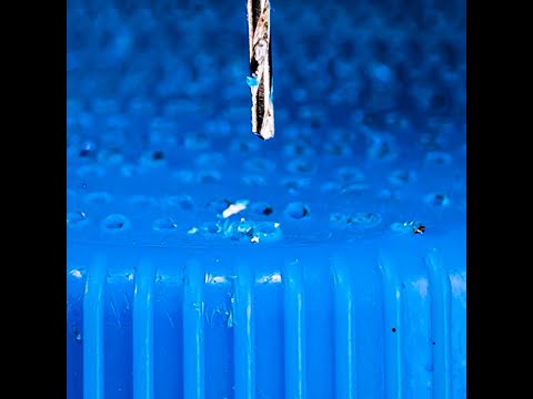 💦 Don't Throw, but Recycle! Simple Water Bottle Upgrade for Your Garden