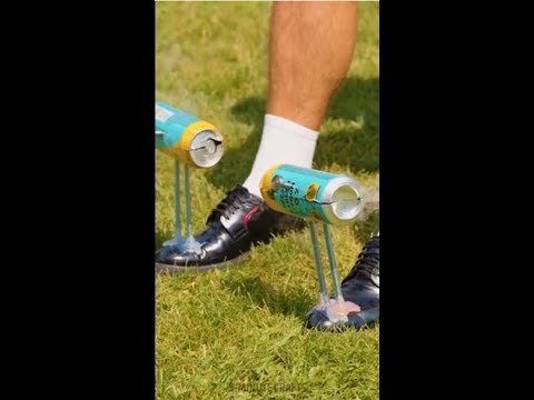 Cool fish cooking ideas, how to make a great New Year's dish and more🍖